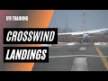 Mastering the crosswind landing  side slips and crab  how to land an airplane