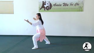 New! Chen-Style Tai Chi 24 Form Full Demo (Front View) 陳式太極拳二十四式 全套正面示範 by Sifu Amin Wu 13,950 views 7 months ago 5 minutes, 51 seconds