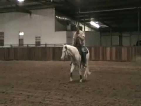 2008 Big Chex To Cash son- 2 yr old reining prospe...