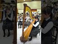 エジプトミーム【大阪桐蔭吹奏楽部】 #ハープ