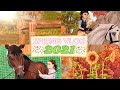 Spring Vlog🌷|| Star Stable Online RRP
