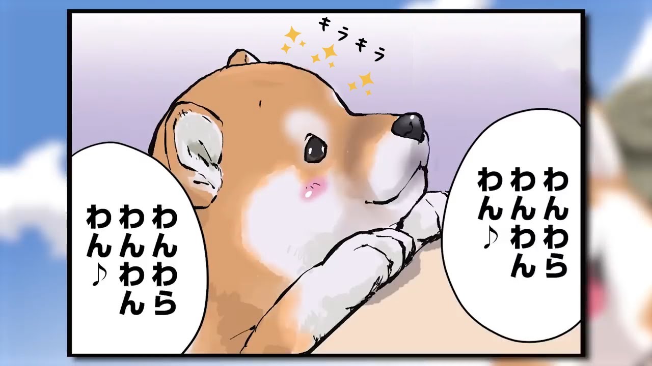 【可愛い】エサが欲しくてどうしてもご主人に視線を送ってしまう豆柴【アニメ】【漫画】【世界の終わりに柴犬と】 - YouTube