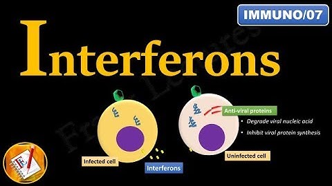 Interferons: INF-α, INF-β and INF-γ (FL-Immuno/07)