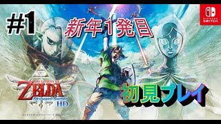 ゼルダの伝説 ティアーズオブザギングダム スカイウォードソード HD