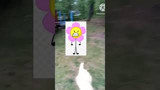 Bfdi Flower In Real Life Flower Gets Revenge On Me Part 2