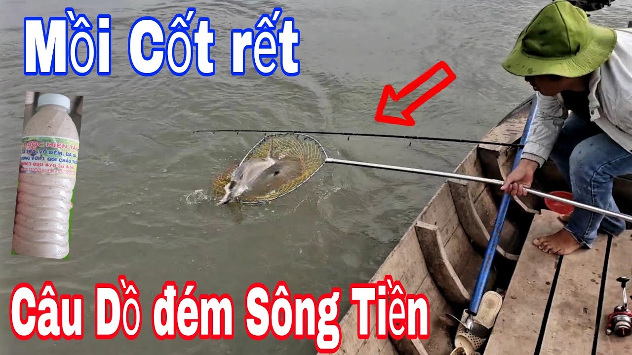 Con Dồ Đém khủng rồi, Mồi cốt Rết câu cá sông Tiền Dính phát Mê