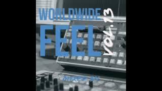 Amapiano Guest Mix (June 2020 Mixtape) (Worldwide Feel 13 mixed by Kamzaworldwide)