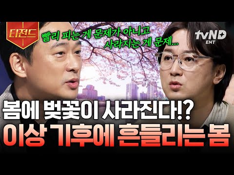 지구온난화로 인한 기후 변화가 불러올 미래 | #<strong>티전드</strong>
