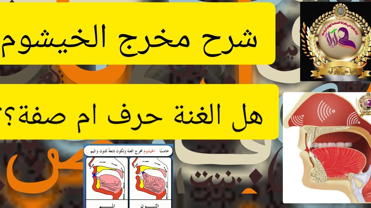 ماهو مخرج الخيشوم؟ وماهي الغنة؟وهل الغنة حرف ام صفة؟متى نقول عن الغنة حرف ومتى نقول عنها صفة؟تابعي