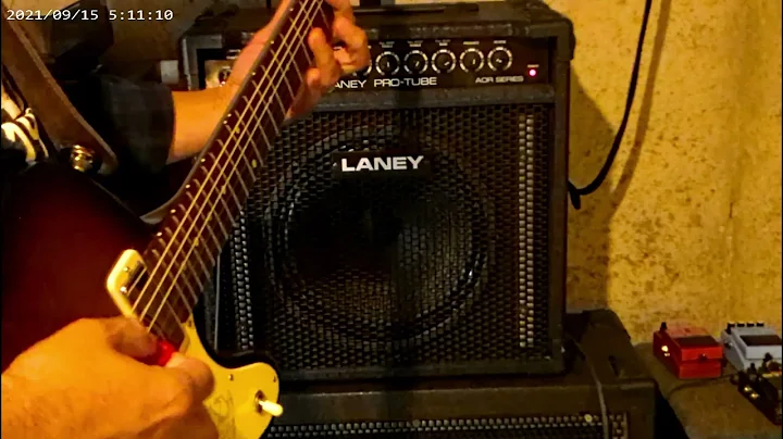 Laney Pro Tube AOR Combo with Private Jack speaker