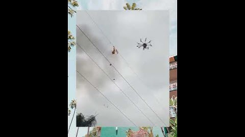 Removing honey bee hive by drone