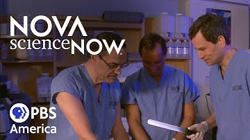 Nova Science Now: How Smart Can We Get?  (2012) | Full Documentary | NOVA