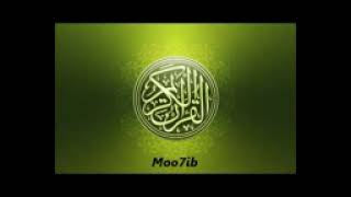 سورة المؤمنين عامر الكاظمي