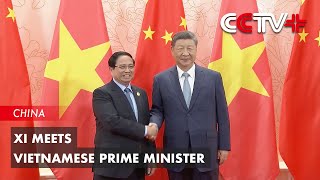 Details Xi Meets Vietnamese Prime Minister Guide