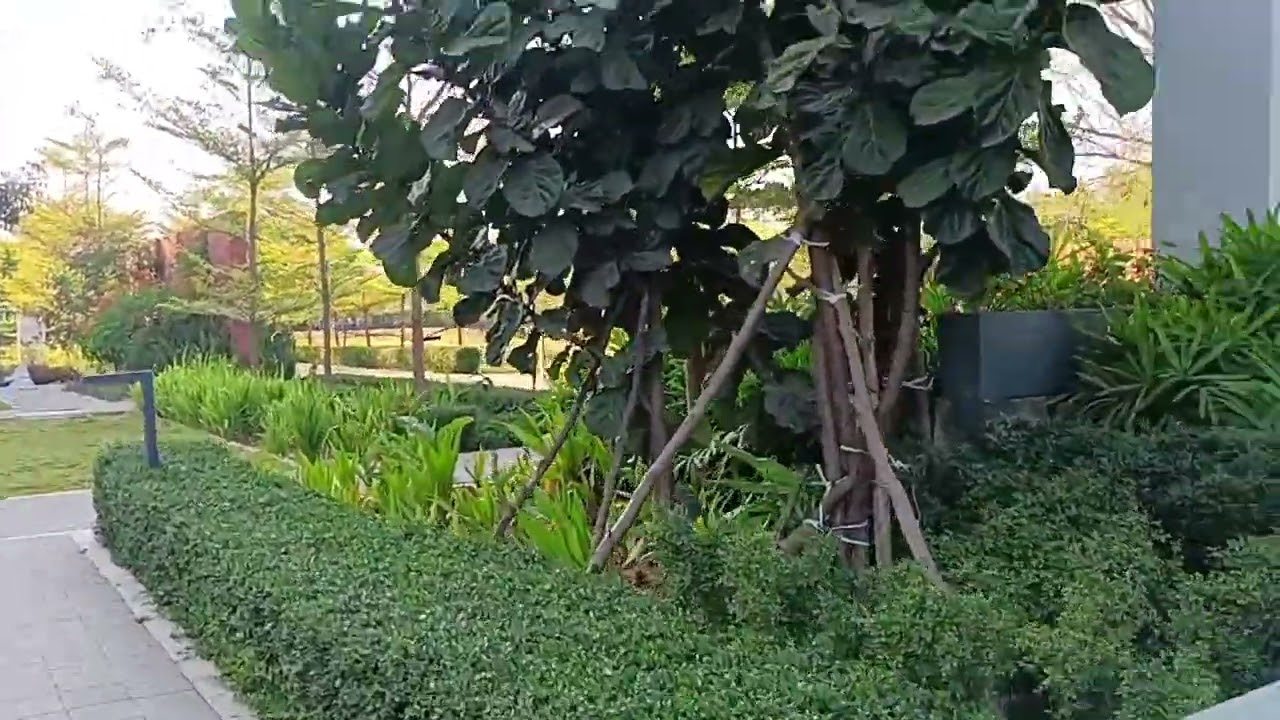 Обновление строительства Godrej Ananda Aerospace Park Bangalore North | Подробности по телефону 6...