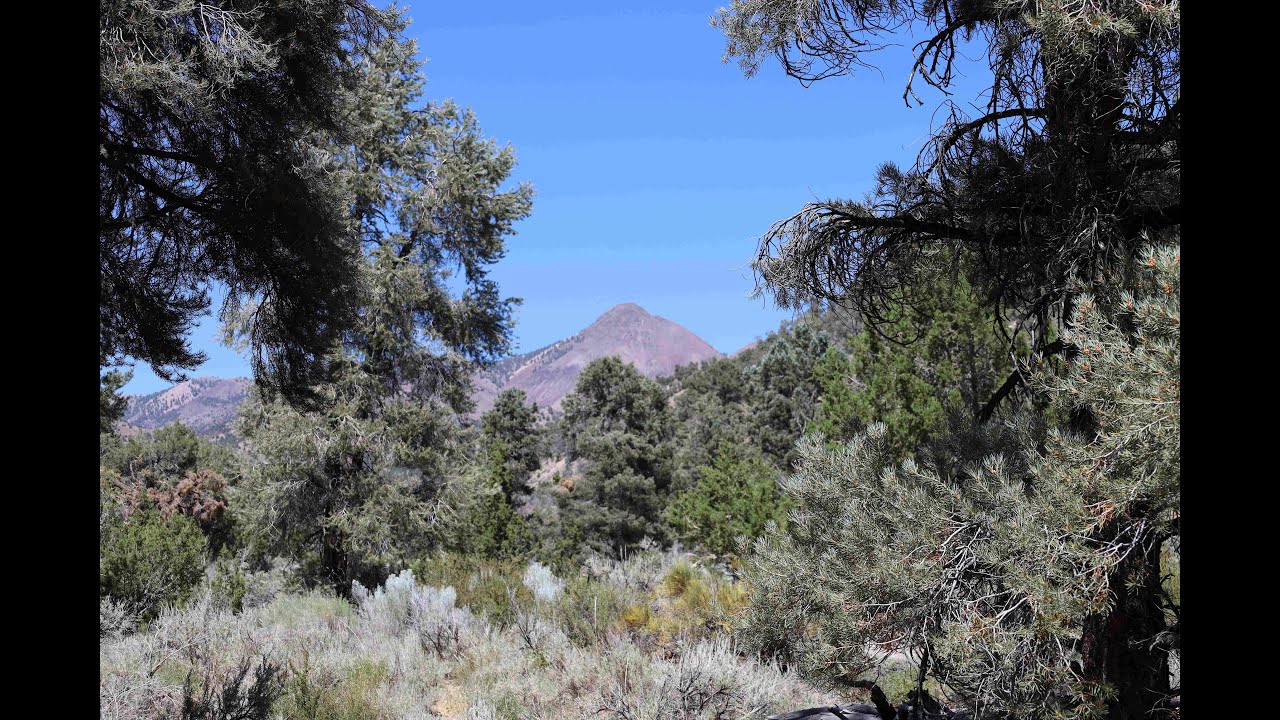 Peavine Creek & Tom's Canyon