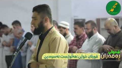 القارئ || هلويست نصر الدين || من جمال الصوت ما عرفت اوصفه ❤