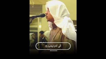 ﴿إِنَّ الَّذينَ قالوا رَبُّنَا اللَّهُ ثُمَّ استَقاموا﴾ من سورة فصلت للقارئ عمر الدريويز 💛..