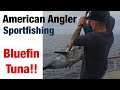 Bluefin tuna on the american angler