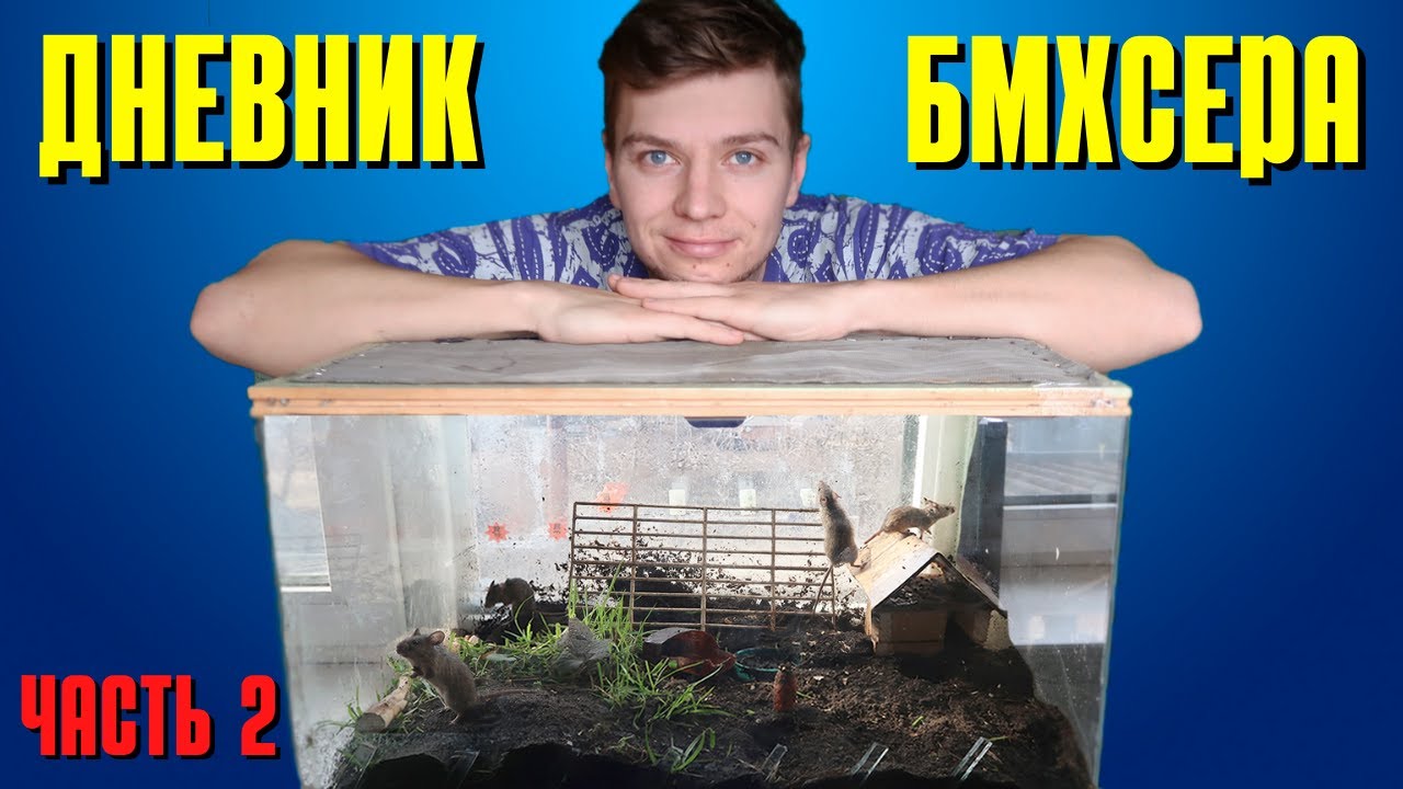 СДЕЛАЛ ТЕРРАРИУМ ДЛЯ МЫШЕЙ - ДНЕВНИК БМХсера