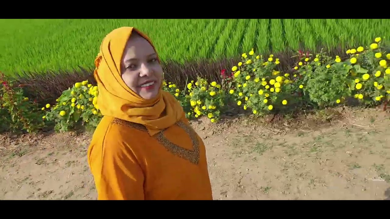 താമരപാടം🪷🪷🪷//പൂത്തുലഞ്ഞ നില്‍ക്കുന്ന കാഴ്ച കണ്ടോ!!!