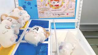 Got [Hamtaro - I Love Hamuchans Big Plushy  B]!!