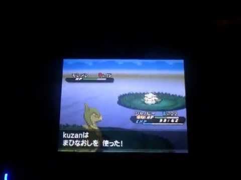 ポケモンbw2イーブイ出現場所 Youtube