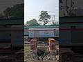 Darjeeling mail and padatik express side by side #shortsfeed #indianrailways #train #trending #viral
