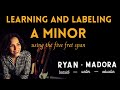 Learning and Labeling A Minor Using the Five Fret Span: Bass Patterns and Shapes for Minor Sounds