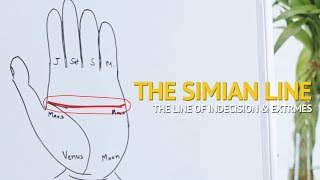 Palmistry  Understanding the SIMIAN line (Indecisive & Extreme Personality)