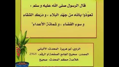 صلاة العشاء .. من سورة الشعراء .. صابر صالح