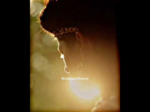 Bindusar Entry In Chandra Nandhini Shorts Chandranandini Bindusar Dharma Love Romantic Edit