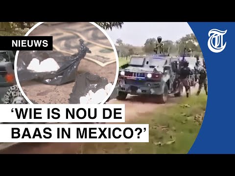 Video: Maak Kennis Met Het Snelstgroeiende Drugskartel Van Mexico - Matador Network