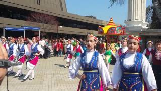 Varna Summer 2015 By Webtrend Bulgaria