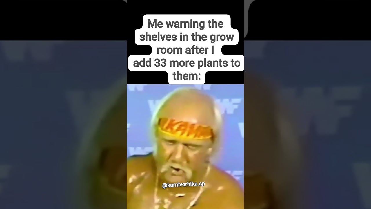 A Stern Warning 🤣