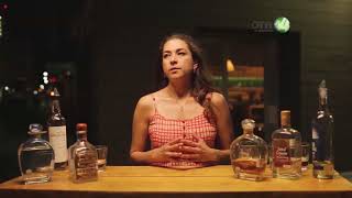 Vidas y bebidas - Sotol