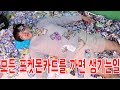 모든 포켓몬카드를 까면 생기는일? (동대문 완구시장 털기) 핵망!! [대문밖