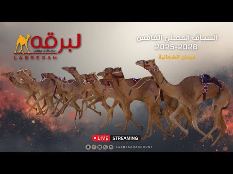البث المباشر منافسات الحيل والزمول العامة المحلي الخامس 2025 ميدان الشحانية مساء 24 11 2025