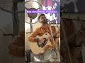 Aadat 🎤 #music #trending #viral #live #singer #guitar #song #bollywood #atifaslam #explore #fyp