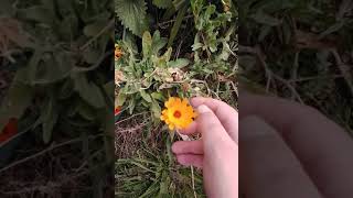 Level Best Horticulture