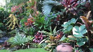 Tips In Maintaining Tropical Garden