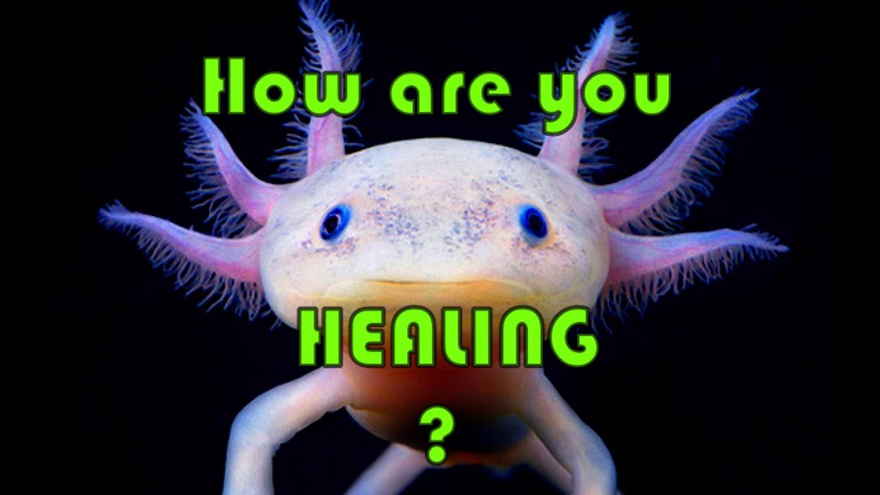 How are you healing? - Pick a card