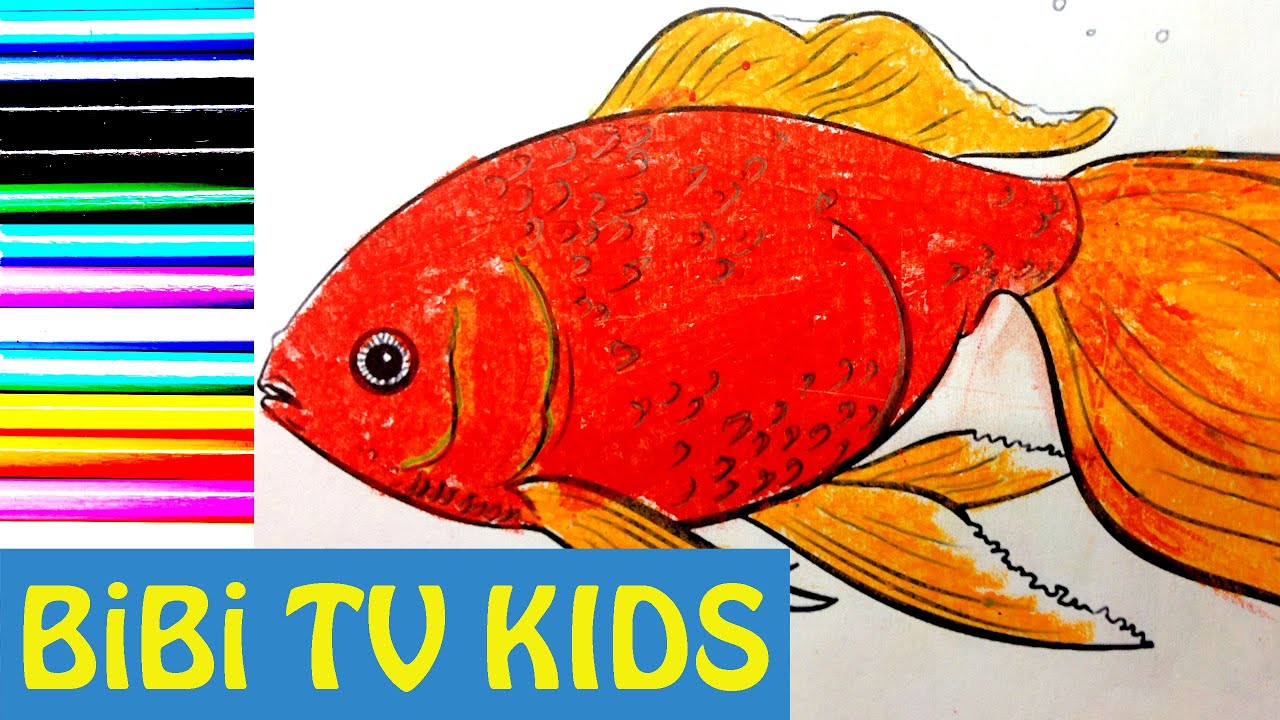 Vẽ và tô màu con cá  Dạy bé tô màu nước  Fish drawing and painting for  kids  Sunny Colours   YouTube