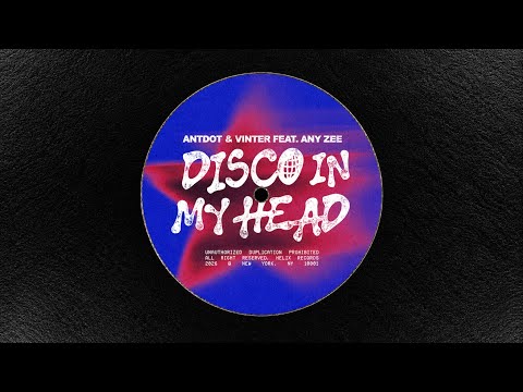 Vinter (BR), Antdot, ANY ZEE - Disco In My Head (Extended Mix)