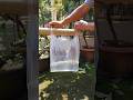 Genius tricks using plastic bags and straws! #diy #ideas #tips #lifehacks