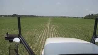Follow A Field - Alan Wood - In-Crop Application