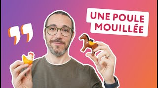 10 expressions avec des animaux