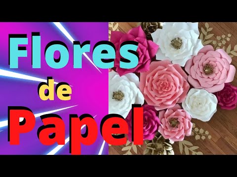 Vídeo: Como Fazer Um Galho De Flor De Papel Corrugado