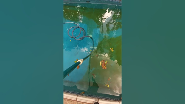 Sacando toda la suciedad de la piscina