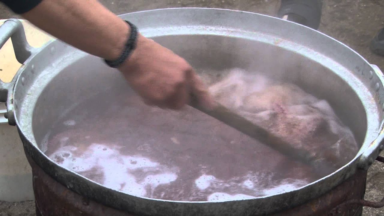 たこの釜茹で実演 YouTube